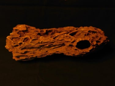 Natural Driftwood with Unique Texture and Hollow Fish Tank Aquarium Decoration