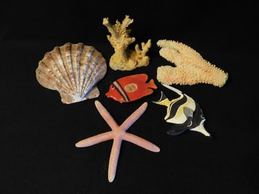 Seashells, Coral, Starfish, and Marine Figurines Fish Tank Aquarium Decoration