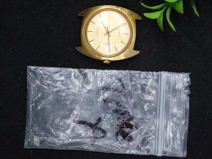 Vintage Timex Watch Case with Dial and Hands WATCHMAKER WATCHMAKING TOOLS: - Vintage Timex watch case with a gold-toned finish. | - Includes the original dial featuring hour markers and hands. | - Back of the case is marked 'TIMEX,' with additional water-resistant and self-w