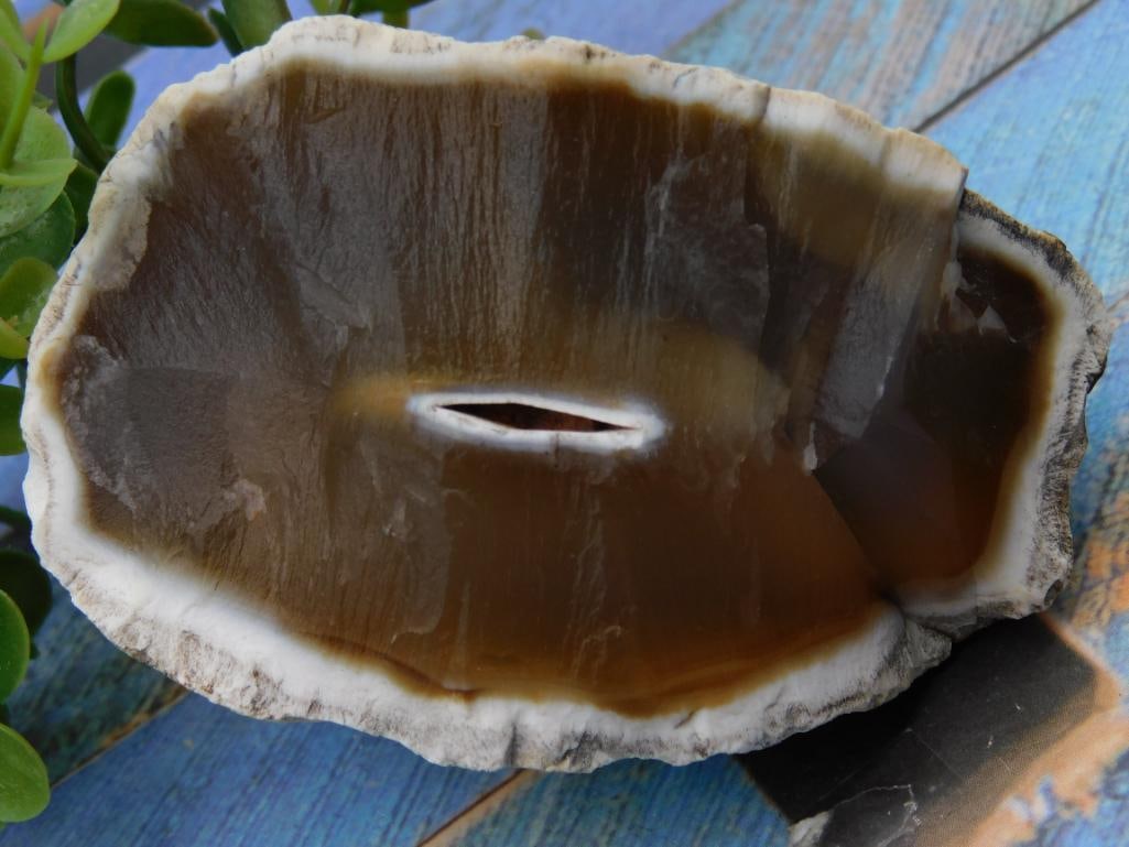 AGATE ROCK STONE LAPIDARY SPECIMEN: AGATE ROCK STONE LAPIDARY SPECIMEN