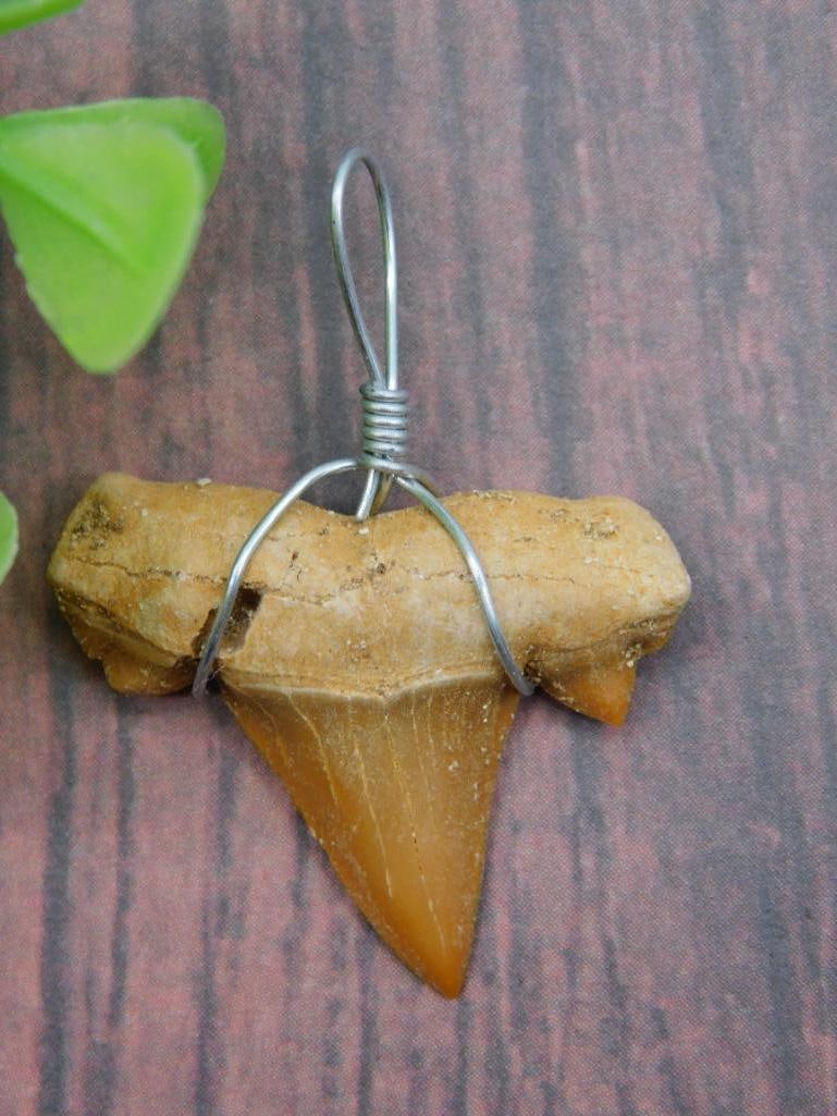 Fossil Shark Tooth Pendant with Wire Wrapping: - Authentic fossilized shark tooth with a honey-brown hue | - Secured with sturdy wire wrapping for hanging or wearing as a pendant | - Dimensions and weight not specified; coin in image for scale | -