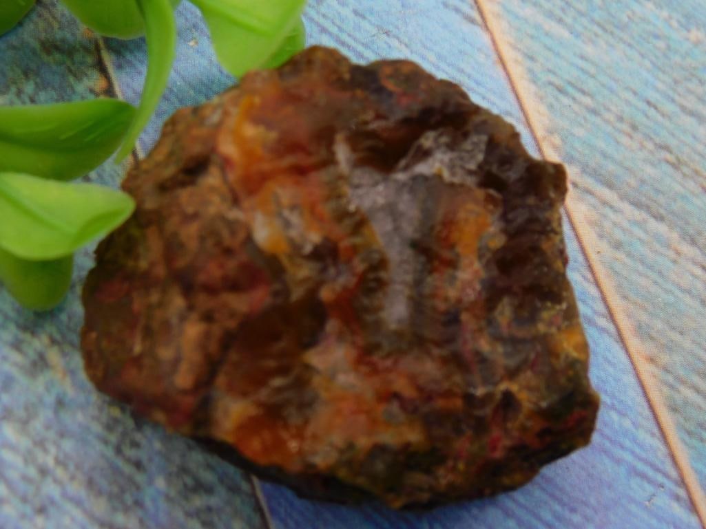 Plume Agate ROCK STONE LAPIDARY SPECIMEN (1 of 3)