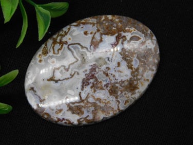 Crazy Lace Agate Cabochon Rock Stone Lapidary Specimen