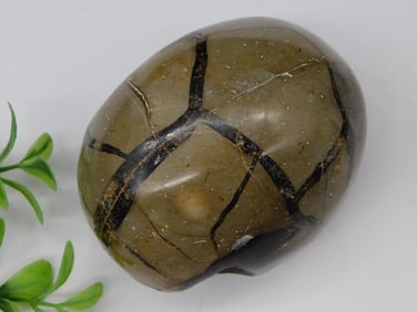 Septarian Geode Specimen with Calcite Veins Rock Stone Lapidary Specimen