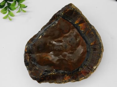 Brazilian Agate Rock Stone Lapidary Specimen