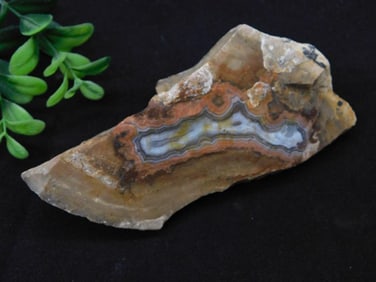 Agate Specimen With Multicolored Layers Rock Stone Lapidary Specimen