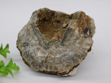 1 Pound Agate with Unique Banding Rock Stone Lapidary Specimen