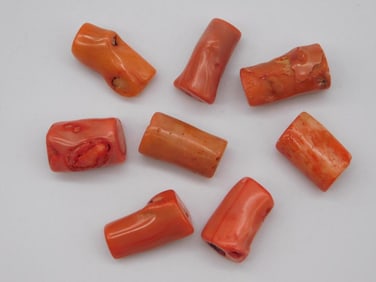 RED CORAL ROCK STONE LAPIDARY SPECIMEN