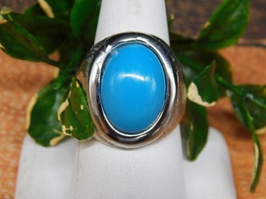 STONE RING ROCK STONE LAPIDARY SPECIMEN