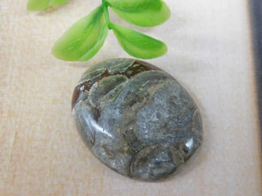 MUSHROOM RHYOLITE CABOCHON ROCK STONE LAPIDARY SPECIMEN