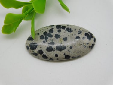 DALMATION JASPER CABOCHON ROCK STONE LAPIDARY SPECIMEN