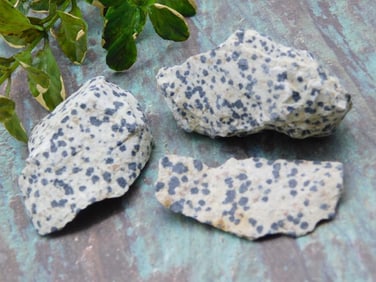 DALMATION JASPER ROCK STONE LAPIDARY SPECIMEN