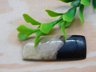 PETRIFIED PALM WOOD CABOCHON ROCK STONE LAPIDARY SPECIMEN