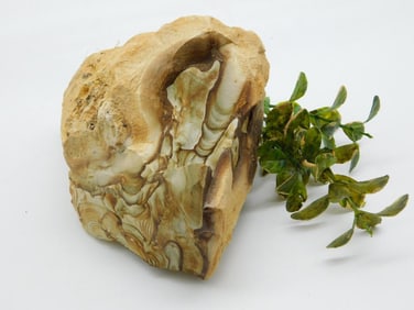 JASPER ROCK STONE LAPIDARY SPECIMEN