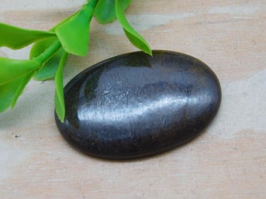 DINOSAUR BONE CABOCHON ROCK STONE LAPIDARY SPECIMEN