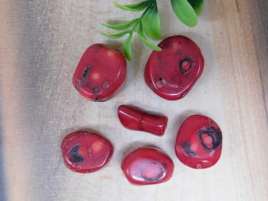 RED CORAL ROCK STONE LAPIDARY SPECIMEN