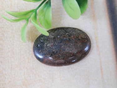 DINOSAUR BONE CABOCHON ROCK STONE LAPIDARY SPECIMEN