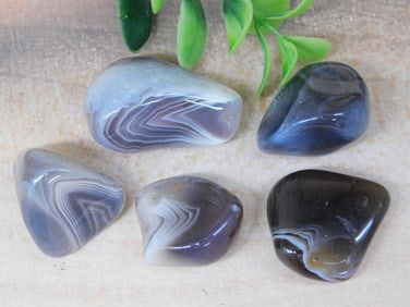 BOTSWANA AGATE ROCK STONE LAPIDARY SPECIMEN