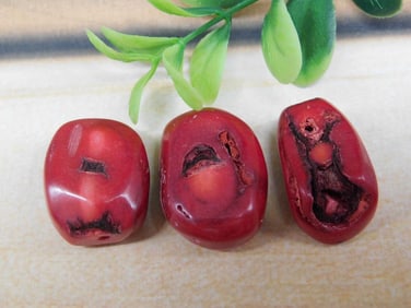 RED CORAL ROCK STONE LAPIDARY SPECIMEN