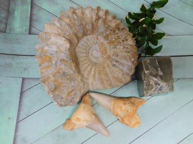 MIXED LOT ROCK STONE LAPIDARY SPECIMEN