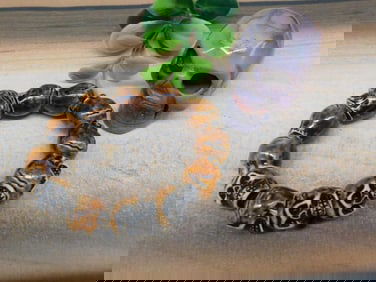 MIXED LOT ROCK STONE LAPIDARY SPECIMEN