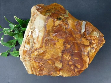 JASPER ROCK STONE LAPIDARY SPECIMEN