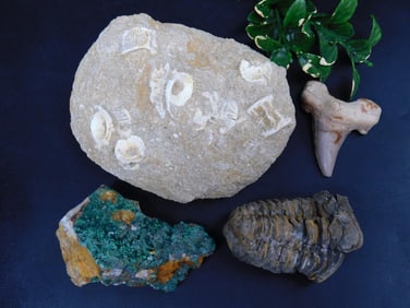 MIXED LOT ROCK STONE LAPIDARY SPECIMEN