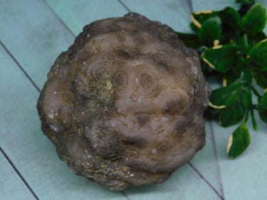 BOTRYOIDAL CHALCEDONY ROCK STONE LAPIDARY SPECIMEN