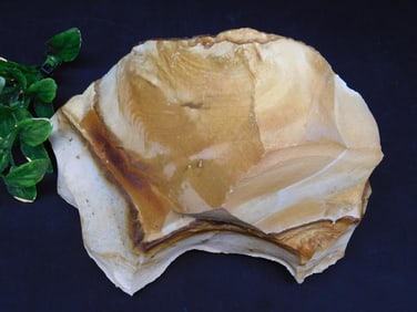 JASPER ROCK STONE LAPIDARY SPECIMEN