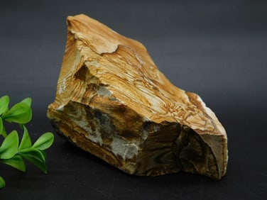 JASPER ROCK STONE LAPIDARY SPECIMEN