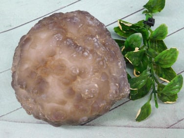 BOTRYOIDAL CHALCEDONY ROCK STONE LAPIDARY SPECIMEN