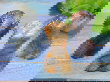 STONE FEMALE FORMS ROCK STONE LAPIDARY SPECIMEN