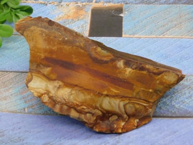 JASPER ROCK STONE LAPIDARY SPECIMEN