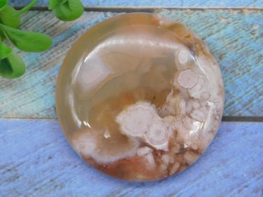FLOWER PETAL AGATE ROCK STONE LAPIDARY SPECIMEN