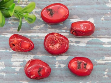 RED CORAL ROCK STONE LAPIDARY SPECIMEN