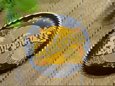 BLUEGRASS CABOCHON ROCK STONE LAPIDARY SPECIMEN