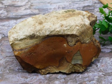 JASPER ROCK STONE LAPIDARY SPECIMEN