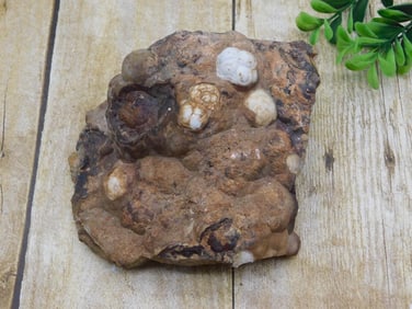ROCK STONE LAPIDARY SPECIMEN