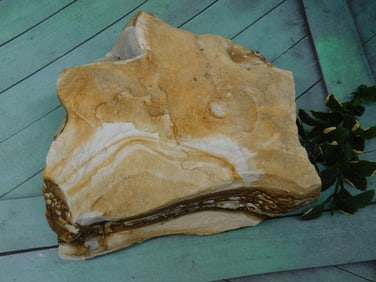 JASPER ROCK STONE LAPIDARY SPECIMEN