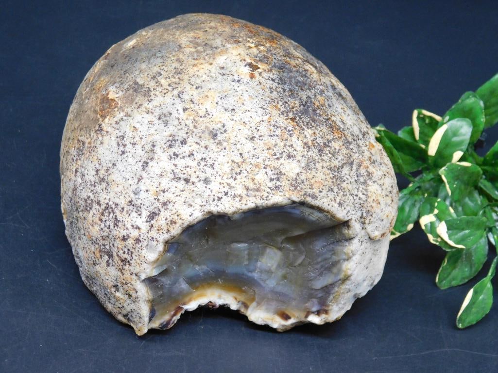 BRAZILIAN AGATE ROCK STONE LAPIDARY SPECIMEN: BRAZILIAN AGATE ROCK STONE LAPIDARY SPECIMEN