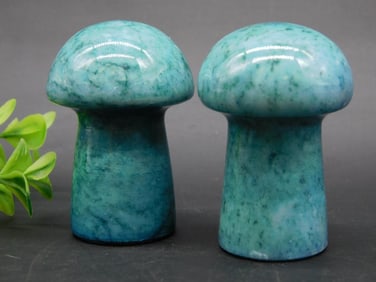 STONE MUSHROOMS ROCK STONE LAPIDARY SPECIMEN