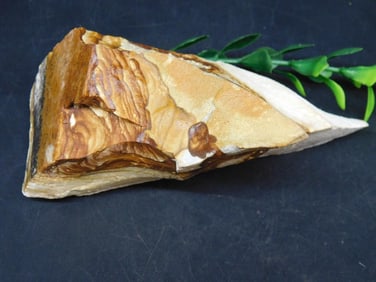 JASPER ROCK STONE LAPIDARY SPECIMEN