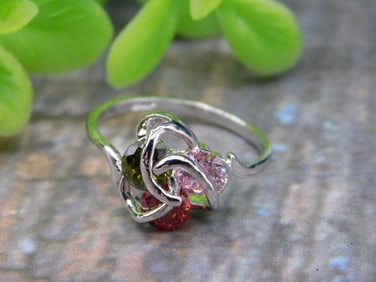 STONE RING ROCK STONE LAPIDARY SPECIMEN