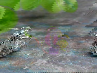 STONE RING ROCK STONE LAPIDARY SPECIMEN