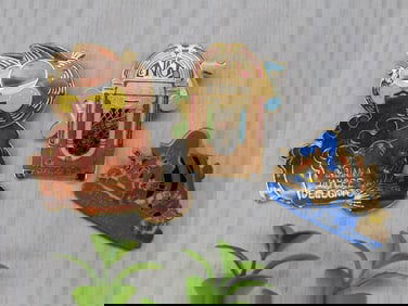 ENAMEL PINS JAYCEE VINTAGE ANTIQUE