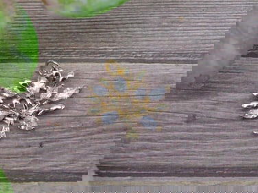 Gold-Tone Pendant in Tree of Life Design with Stone Accents