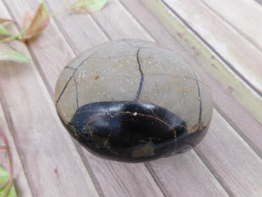 SEPTARIAN ROCK STONE LAPIDARY SPECIMEN