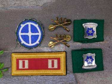 Military Insignia Group with Patches and Pins