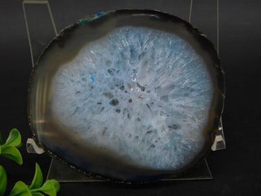 Agate Slice Rock Stone Lapidary Specimen