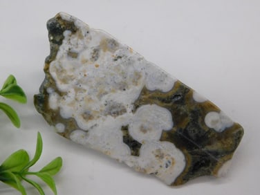 Ocean Jasper Rock Stone Lapidary Specimen